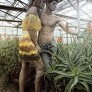 George Pantelakis / VN Model Management